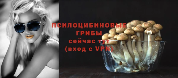 СК Кинешма