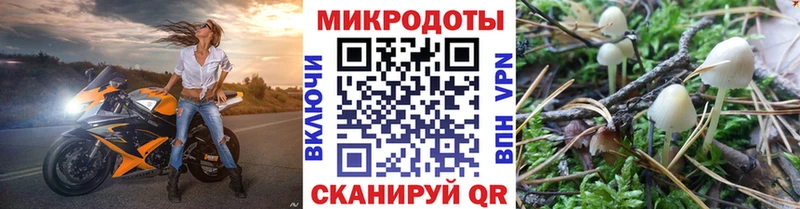 Галлюциногенные грибы прущие грибы  Касли 